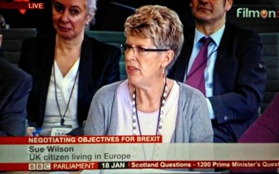 Bremain’s Sue Wilson appears at Select Committee for Exiting the European Union