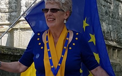 Sue Wilson talks Brexit on Europeans In!