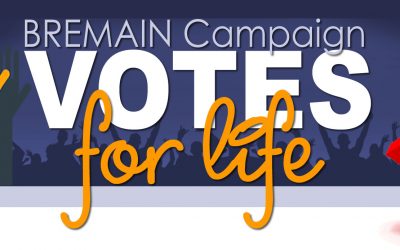 Votes for Life Update from the British Embassy